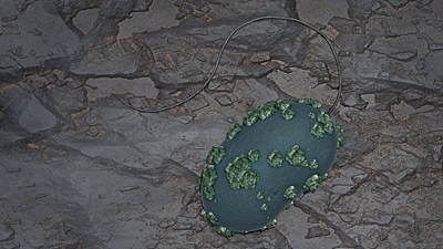 Foto: Abbildung einer Desulfosporosinus-Zelle mit immobilisiertem Uran auf der Oberfläche ©Copyright: B. Schröder / HZDR
