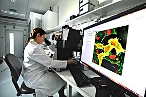 Foto: Fluorescence microscopy at the new Center for Radiopharmaceutical Tumor Research ©Copyright: Frank Bierstedt/HZDR