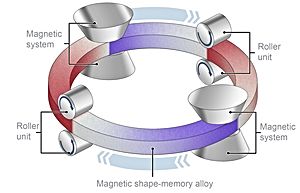 Foto: Scientists from Dresden and Darmstadt developed an Magnetic Memory cooling cycle with shape-memory alloys: under pressure, the alloy switches to ist non-magnetic form. ©Copyright: A.Karpenkov/T.Gottschall (HZDR)