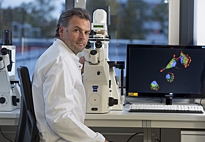 Foto: Prof. Nils Cordes, Leiter des Bereichs Strahlenbiologie am OncoRay, erforscht die biologischen Zelleigenschaften des Glioblastoms ©Copyright: HZDR/Rainer Weisflog