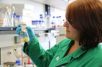 Eine Chemikerin des HZDR bereitet Pilze für die Untersuchungen vor. Nach den Laborversuchen wollen die Forscher das Potential auch im freien Feld testen.