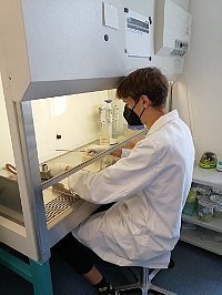 Ressourcenpreisträger Jan-Peter Gerstner durfte sich während seines Praktikums am HIF auch im biotechnologischen Labor ausprobieren. ©Copyright: HZDR/HIF