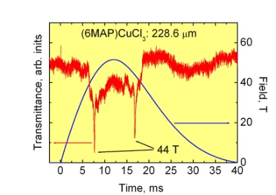 THz-ESR-Spektroskopie in gepulsten Magnetfeldern 