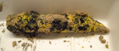 Part of a DU penetrator after corroding for three years