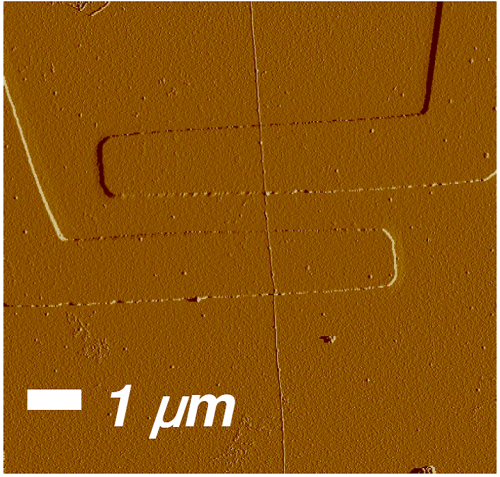 FZD-Pressemeldung vom 02.08.2010: Nano-Röhrchen als Spinfilter; REM-Aufnahme 