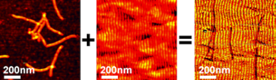 NANONET PUBLICATION Abstract Nanoscale 2014