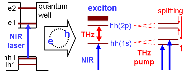 exciton scheme