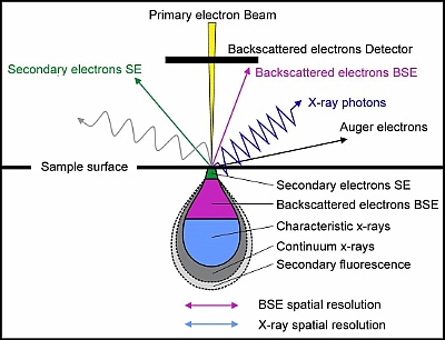 Rasterelektronenmikroskopie Schema