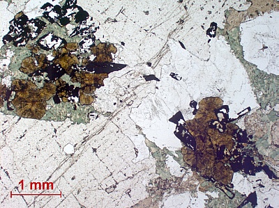 Mikroskopische Aufnahme eines Komplexerzes. Es besteht aus Wertmineralen wie Sulfiden (schwarz), Kassiterit (braun) oder Fluorit (beige), die die wirtschaftlich relevanten Elementen Indium, Kupfer, Eisen, Zinn oder Fluor enthalten können.