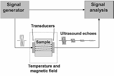Ultrasound setup