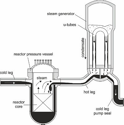 Primary loop of a PWR in Reflux-Condenser-Mode