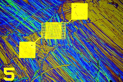 Feldeffekt-Transistor auf Basis von 2-D-Polymeren mit Halbleiter-Eigenschaften. ©Copyright: Arora, Himani