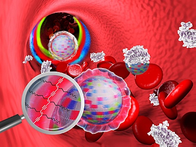Nanoparticles in the blood: The stealth cap prevents blood components from adhering. The surface has been cross-linked by UV radiation (enlarged image section) and is therefore stable in biological systems. ©Copyright: HZDR/K.Klunker/istockphoto.com/Thomas-Soellner/Molecuul