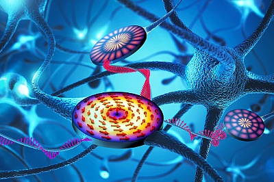 Magnetic vortex-neurons ©Copyright: HZDR/Sahneweiß
