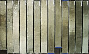 Marine sediment cores ©Hannes Grobe, CC BY 3.0
