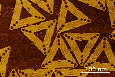 DNA Origami tiles Ch. Kielar, HZDR (2022)
