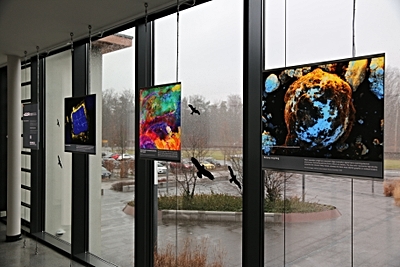 Foto: Exhibition of HZDR scientific images at the lecture hall entrance ©Copyright: HZDR