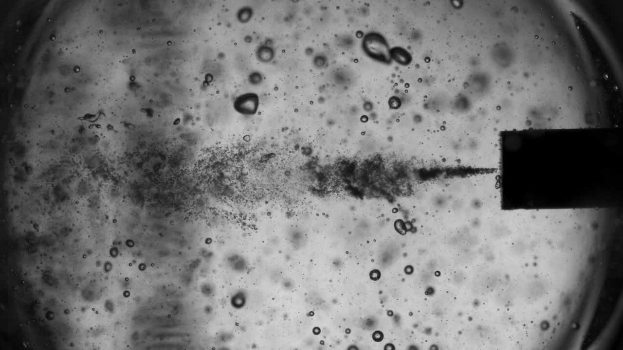 Foto: Kavitationsblasen in der HyKaPro-Anlage ©Copyright: Jan Schäfer/ HZDR