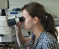Die polnische Sommerstudentin Ewa Kowalska untersucht Materialien am Kerr-Mikroskop.