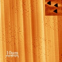 Nano-Löcher: auf der Rasterkraftmikroskop-Aufnahme sieht man durch hochgeladene Ionen hervorgerufene Defekte in der Materialoberfläche. Jedes Nano-Loch entspricht dem Beschuss mit genau einem Ion. 