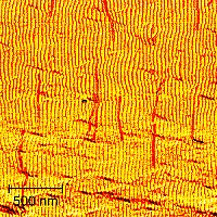 What looks like sand dunes is actually smaller than a single grain of sand. Thanks to electrostatic surface interactions, DNA nanotubes (shown here in red) align along the prefabricated nanopattern on a silicon surface.