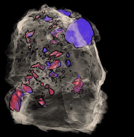Foto: 3D image of a REE bearing carbonate rock ©Copyright: Dr. Jose Ricardo da Assuncao Godinho