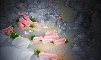 Mikroorganismen im Salzgestein (ref.) ©Copyright: HZDR / Juniks