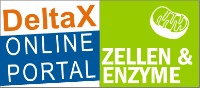 DeltaX Online Portal Zellen und Enzyme ©Copyright: HZDR
