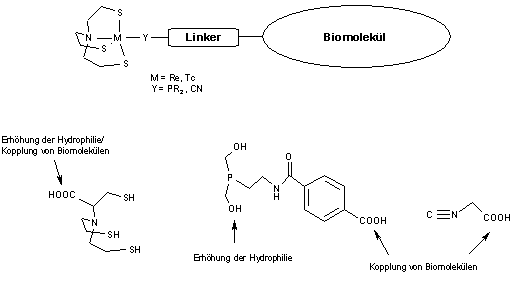 Abb.1: Schematischer Aufbau bioaktiver 4+1-Komplexe und Beispiele für modifizierte hydrophile Liganden.