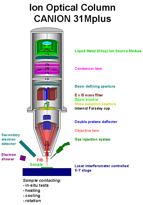 FIB-Säule Orsay Physics CANION 31Mplus
