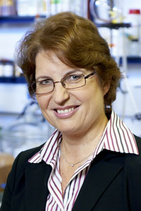 Portrait Prof. Dr. Brigitte Voit