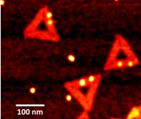 This silicon surface is covered with triangular DNA origami each containing two gold nanoparticles the size of five nanometers. In-between them, single molecules can be trapped and detected.