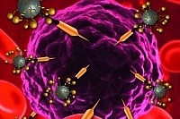 NanoTracking Molecule