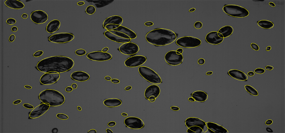 Pattern recognition in bubbly flows