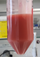 Purified selenium nanoparticles