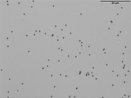 Purified selenium nanoparticles
