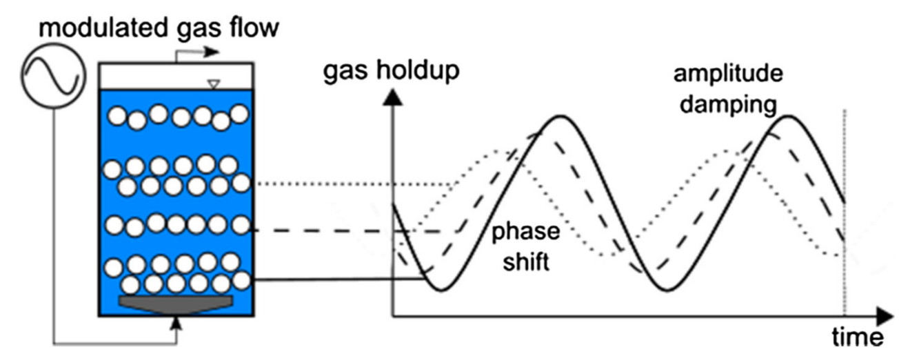 Analyse der Gasdispersion in Blasensäulenreaktoren