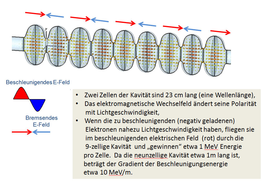 EM field inside the accelerator cavity ©Copyright: Dr. Büttig, Hartmut