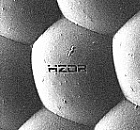 Foto: HZDR logo in the eye of a fly ©Copyright: Dr. Roman Böttger