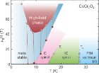 Schematic low-temperature phase diagram of CoCr2O4