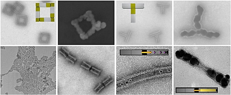 DNA Nanowire Templating J. Ye, Uni Leipzig (2018)
