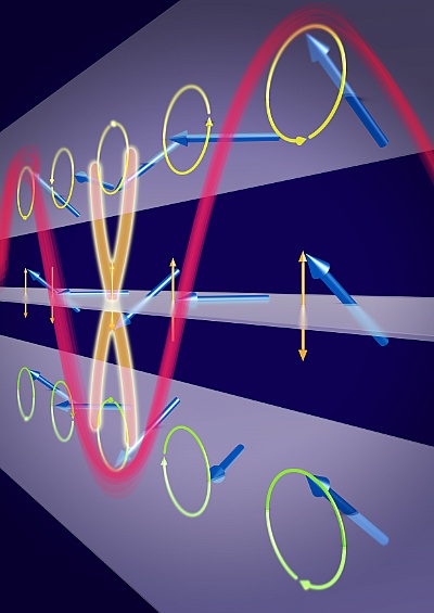 Eine ultrakurzwellige Spinwelle (rot) läuft durch eine Nickel-Eisen-Schicht. Etwa in der Mitte der Schicht schwingt die magnetische Richtung (blaue Pfeile) in einer Art Knoten lediglich auf und ab, während die Bewegung in den anderen Teilen kreisförmig – mit unterschiedlichem magnetischen Drehsinn – bleibt.