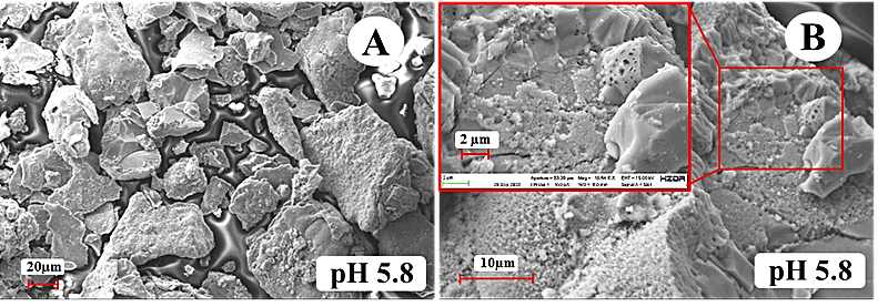 Foto: Scanning electron microscope (SEM) image of pyrite without metabolite experiment (A) grains and (B) enlarged view of dissolution features and precipitates. ©Copyright: Vijay Kumar Saini