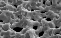 Filtermembran aus Edelstahl in 10.000-facher Vergrößerung.