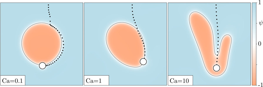 Direkte numerische Simulation der Anlagerung eines hydrophoben Partikels